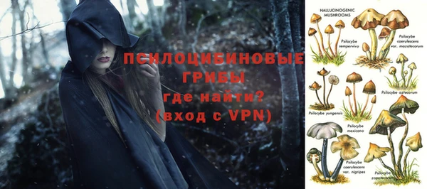 молекула духа Алзамай